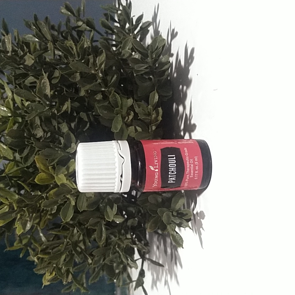YL oil Patchouli